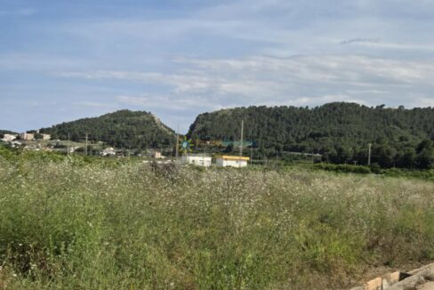 IMG-20250523-WA0003