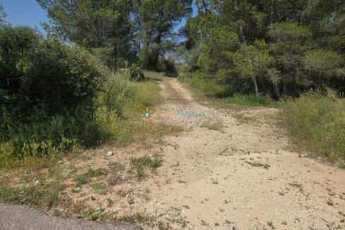 IMG-20250527-WA0019