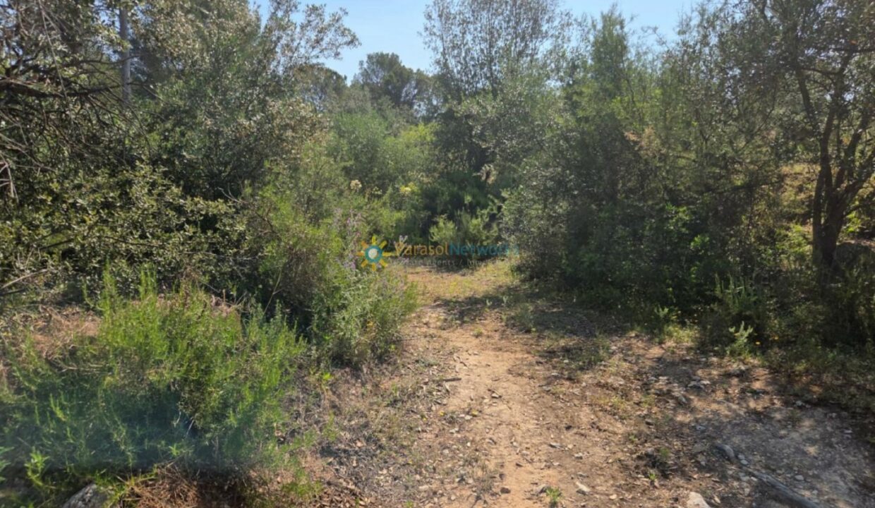 IMG-20250527-WA0021