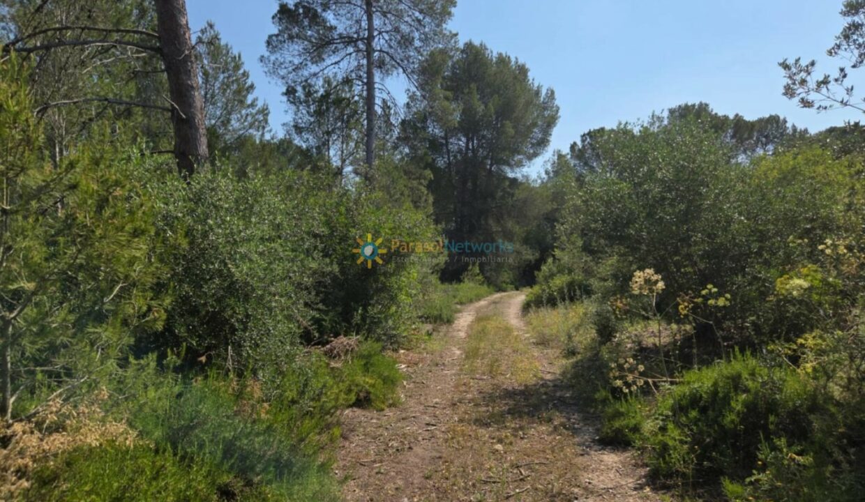 IMG-20250527-WA0023