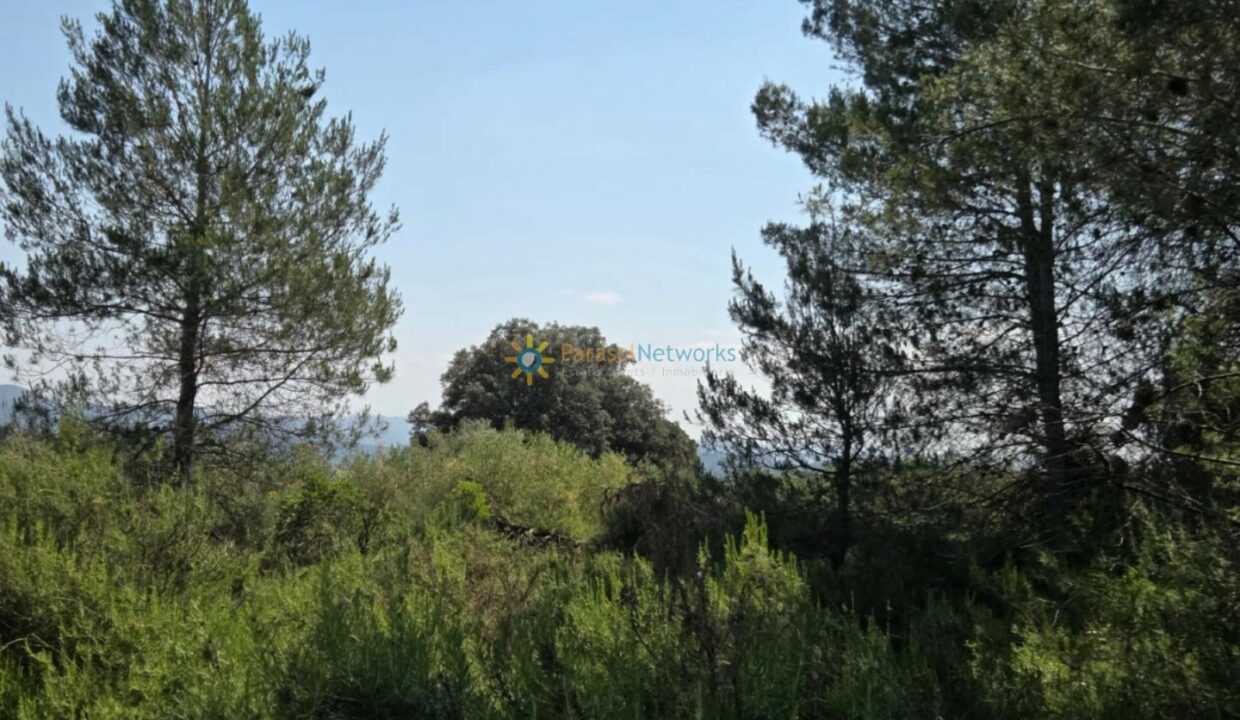 IMG-20250527-WA0031