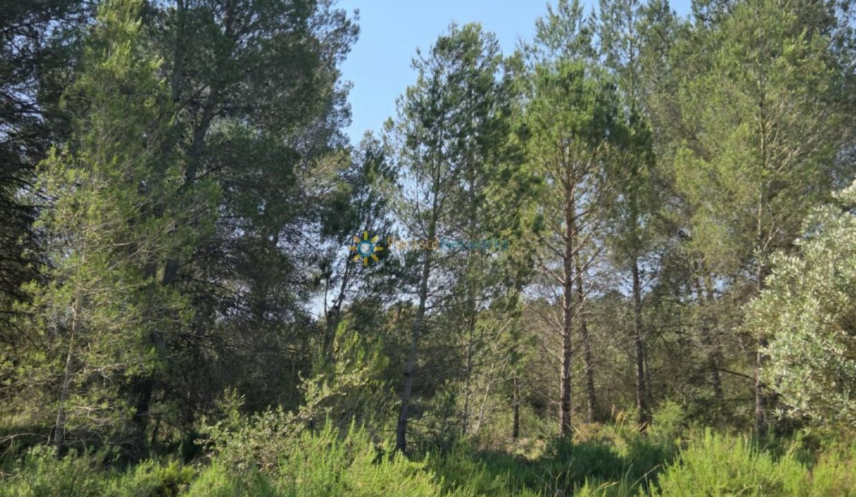 IMG-20250527-WA0032