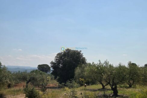 IMG-20250527-WA0035