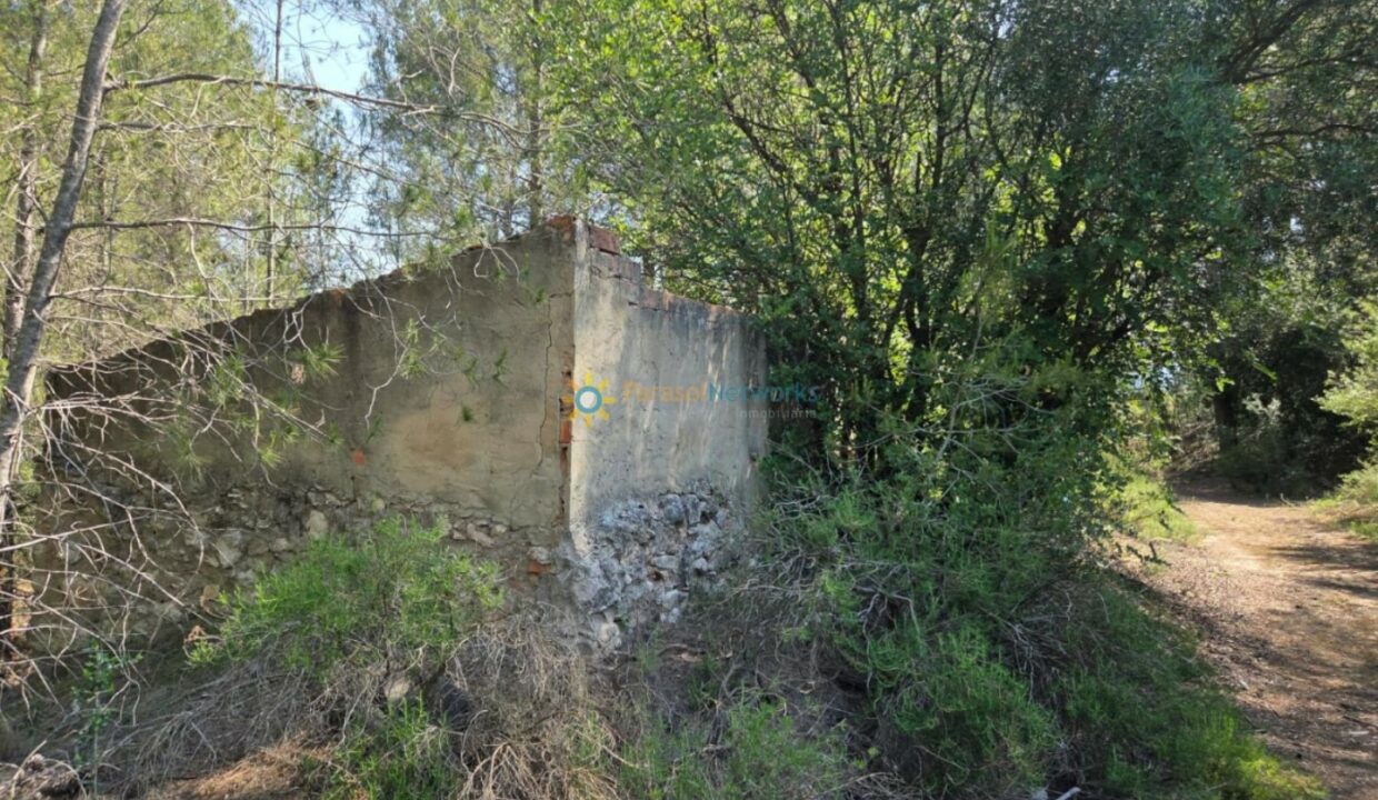 IMG-20250527-WA0038