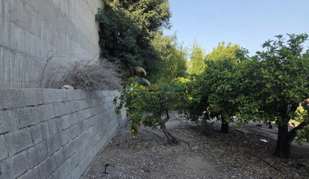 IMG-20250529-WA0048