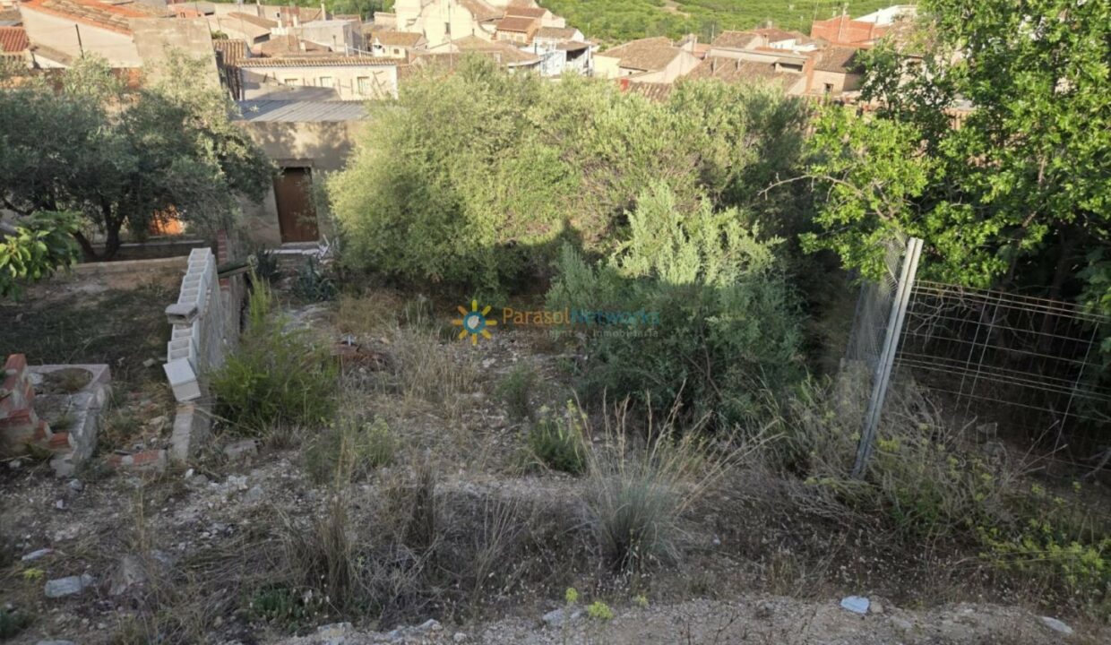 IMG-20250624-WA0014