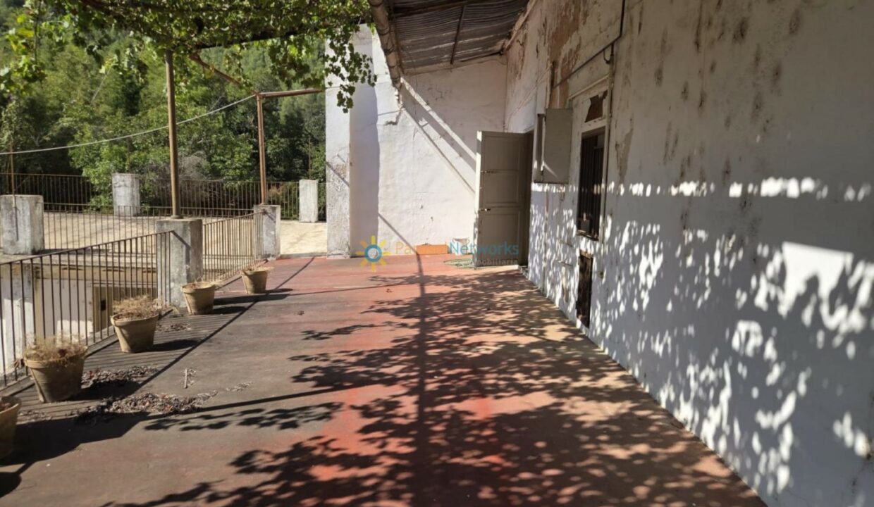 IMG-20250721-WA0054