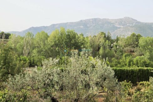 IMG-20250828-WA0018