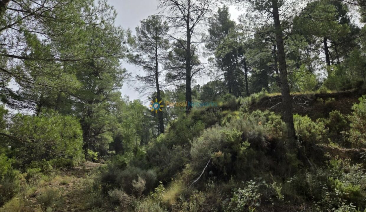 IMG-20250905-WA0023
