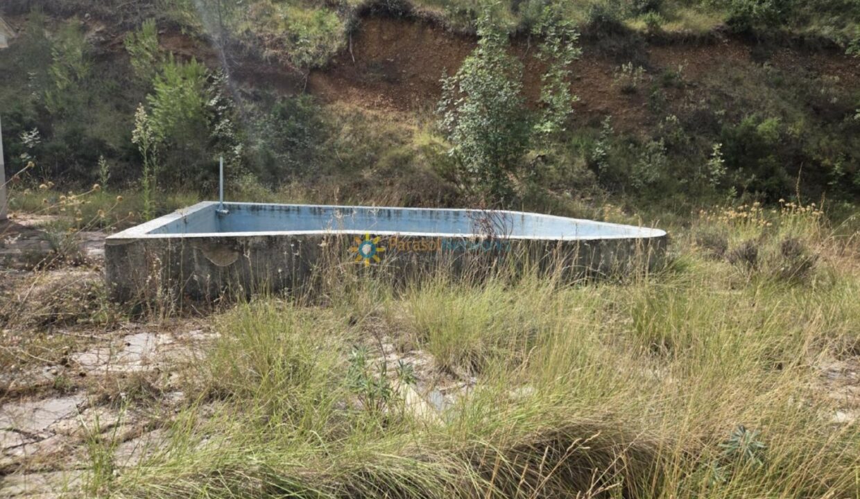 IMG-20250905-WA0032