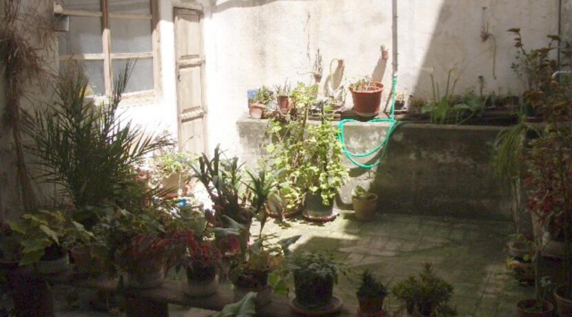 IMGP9659