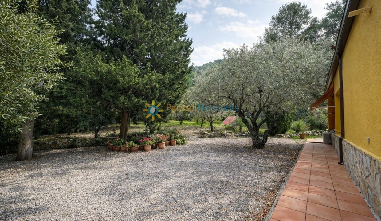 Jardín con olivo y geranios