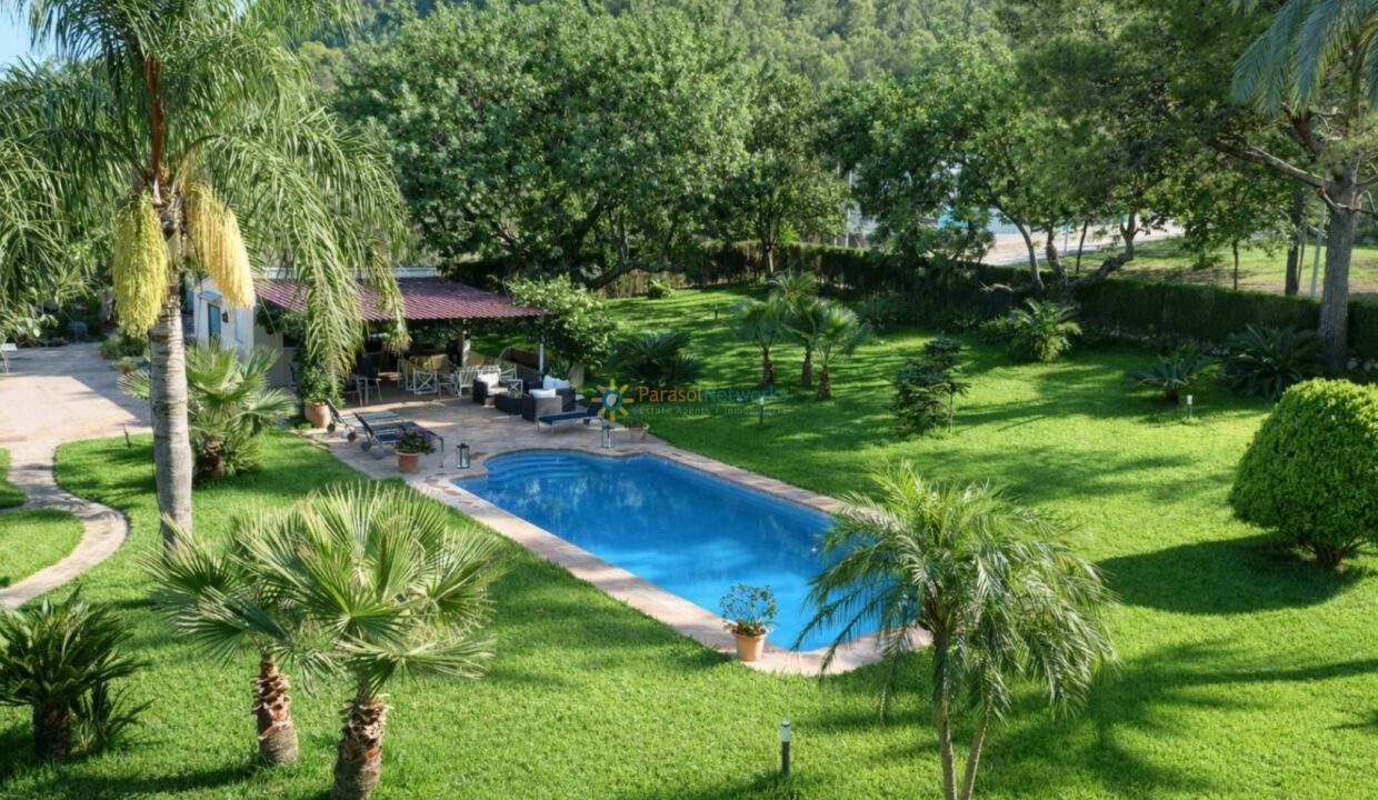Jardín de verano con piscina y palmeras