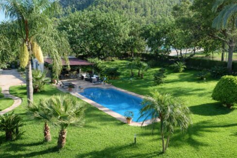 Jardín de verano con piscina y palmeras