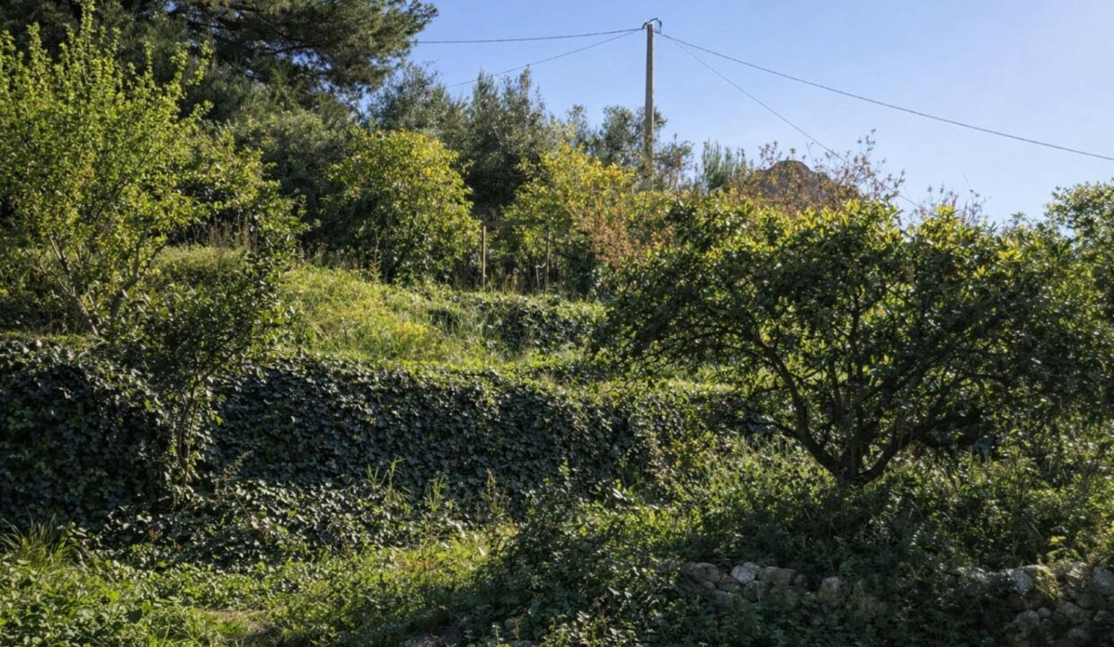 Jardín en terrazas con luz solar