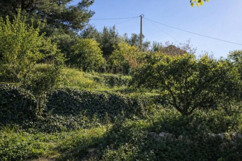 Jardín en terrazas con luz solar