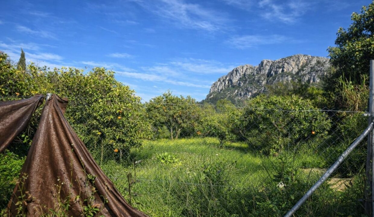 Jardín exuberante bajo el cielo azul