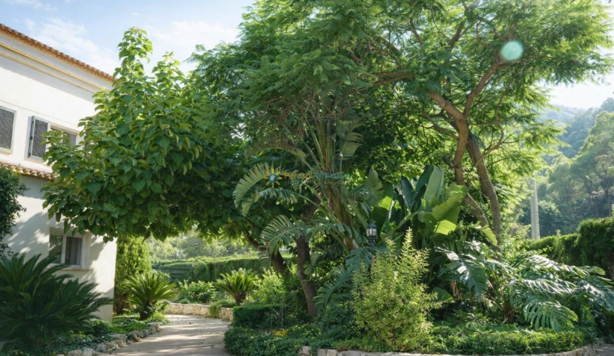 Jardín mediterráneo junto a la casa