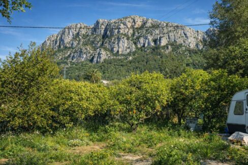 Jardín rural bajo las montañas