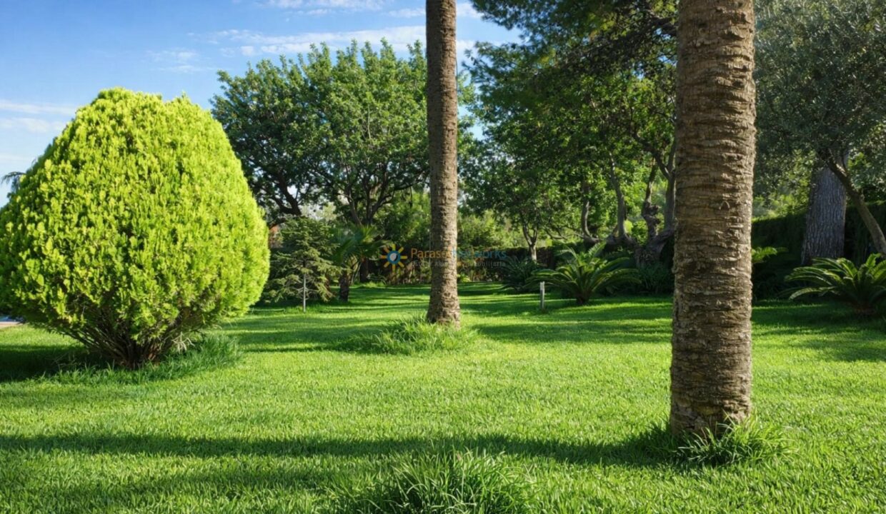 Jardín soleado con árboles y plantas