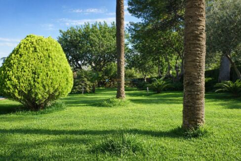 Jardín soleado con árboles y plantas