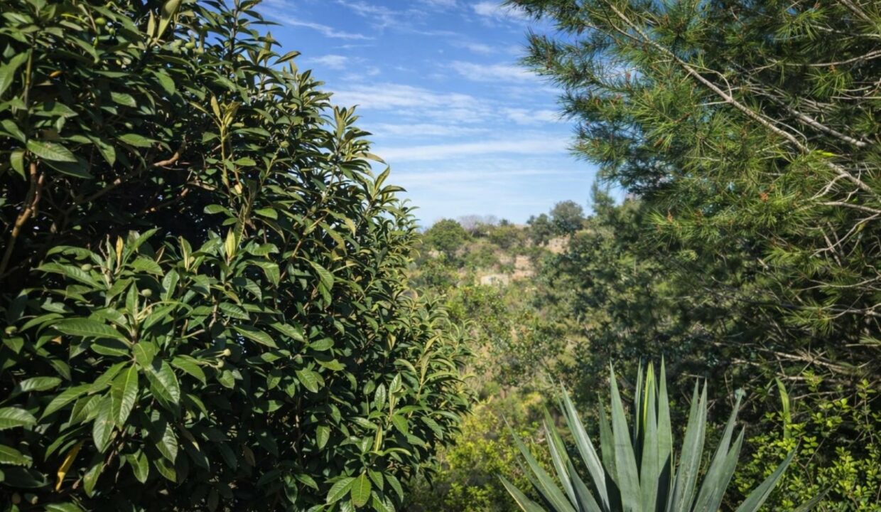 Jardín soleado con colinas al fondo