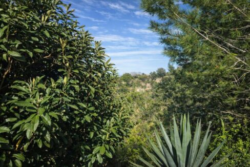 Jardín soleado con colinas al fondo