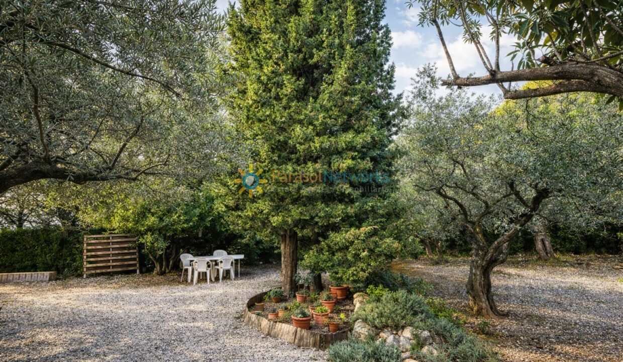 Jardín tranquilo con olivos y cipreses