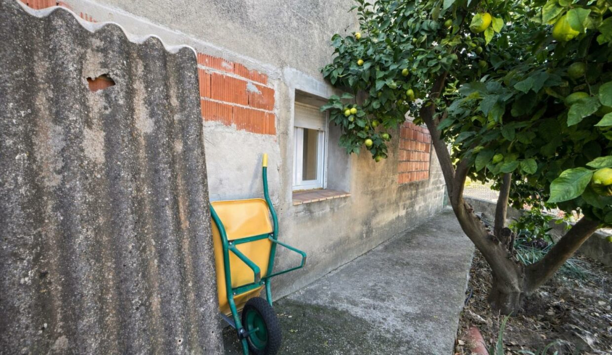 Jardín y estructura en ruinas