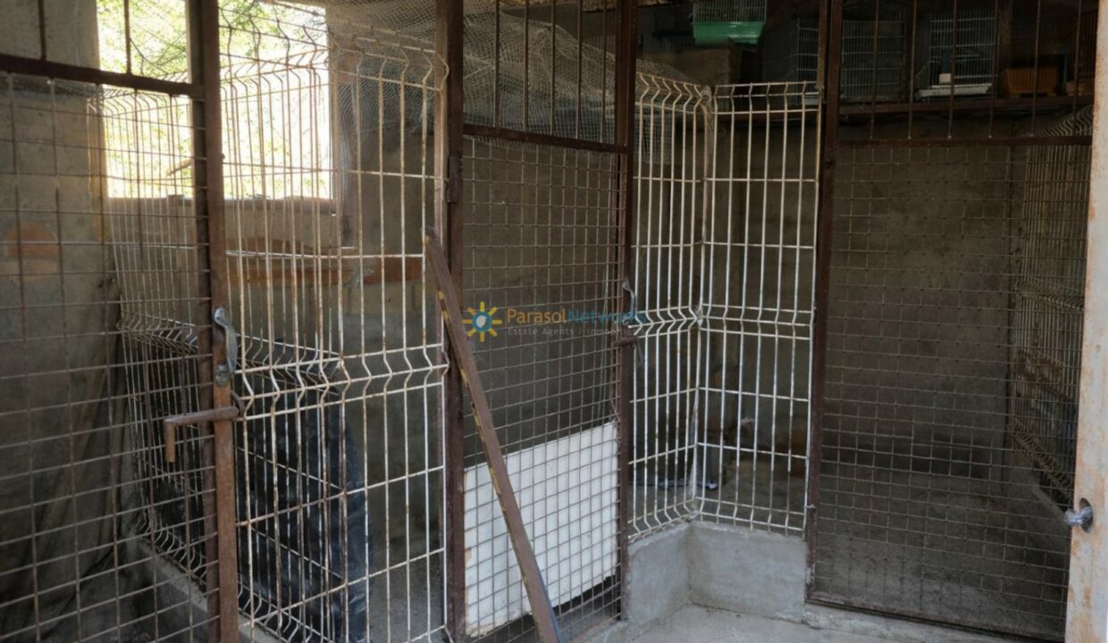 Jaula vacía en habitación gris