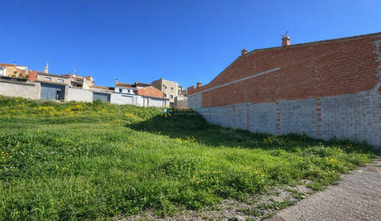 Lote vacío en vecindario soleado (1)