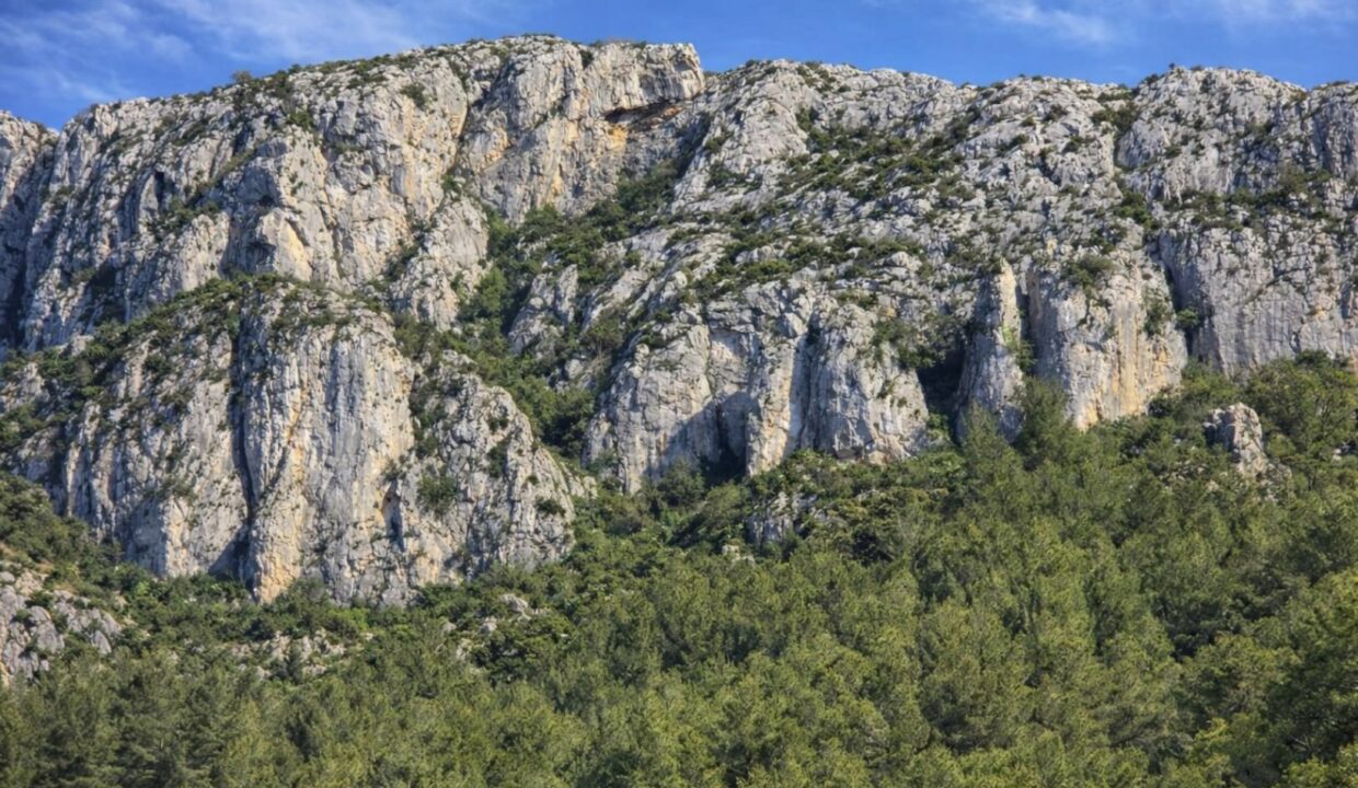 Montañas rocosas sobre un bosque verde