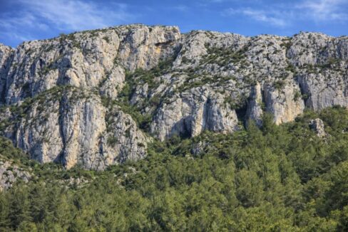 Montañas rocosas sobre un bosque verde