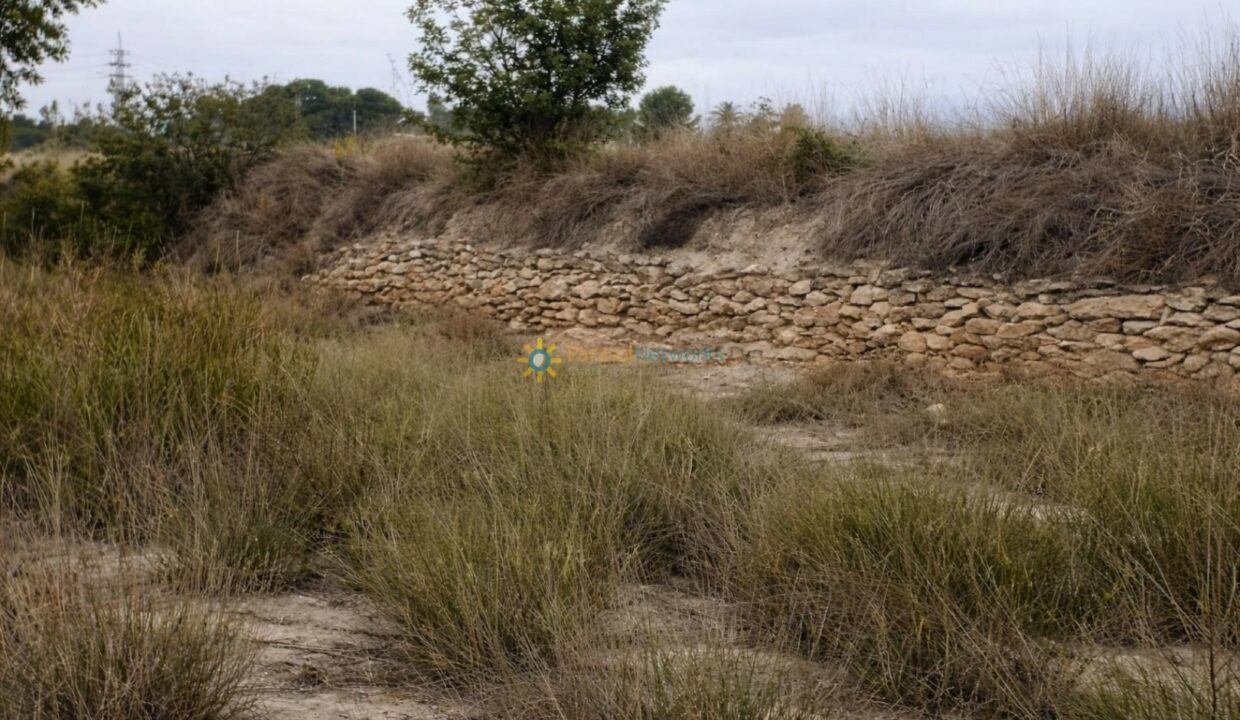 Muro de piedra en paisaje rural