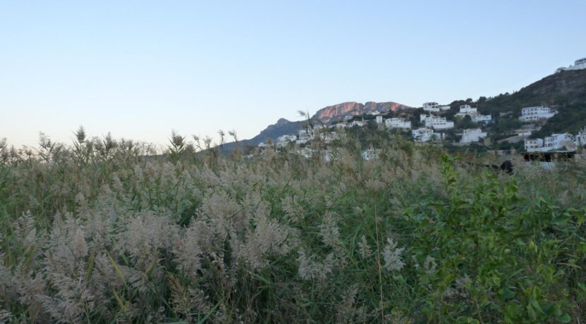 P1860566