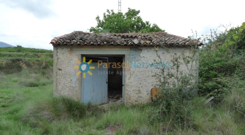 P1880793