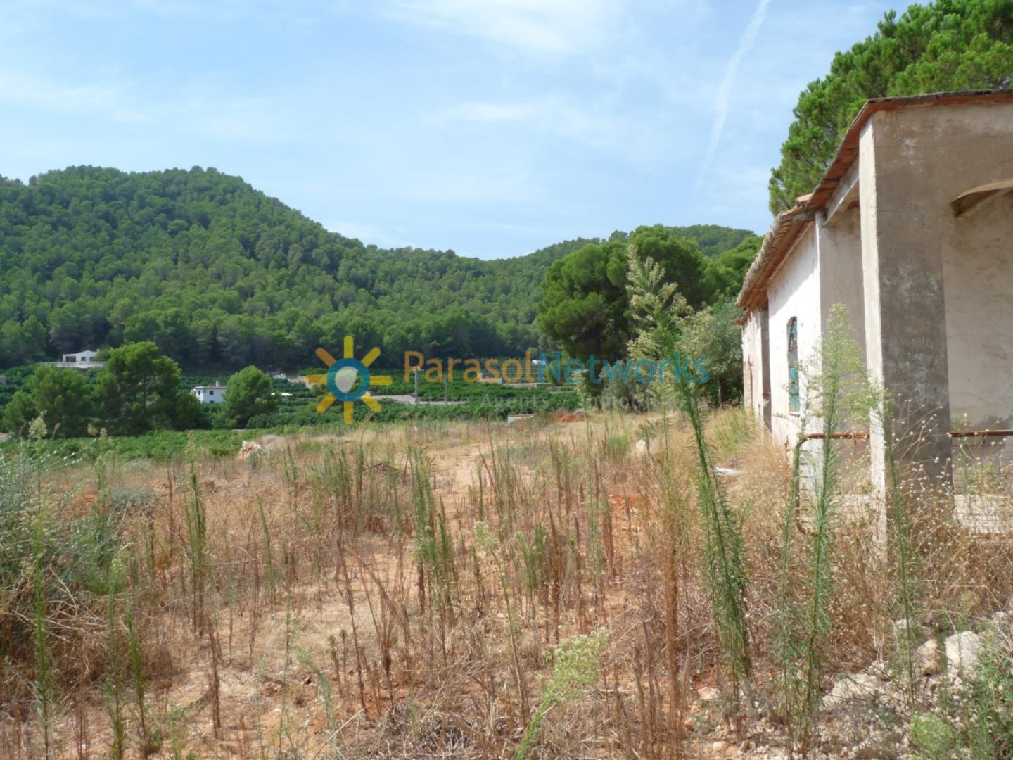 Grundstück zum Verkauf in Real de Gandia-Ref:224