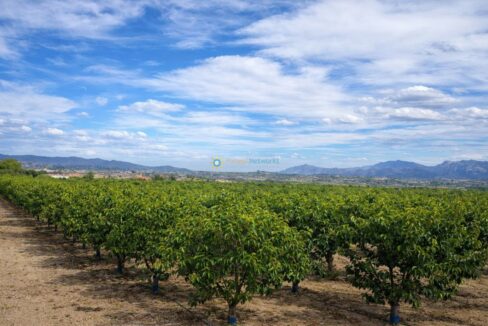 Paisaje agrícola con montañas y pueblo