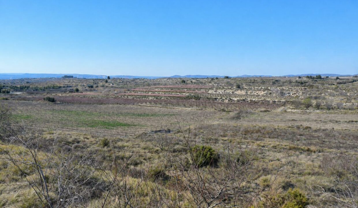 Paisaje árido con campos terracotados