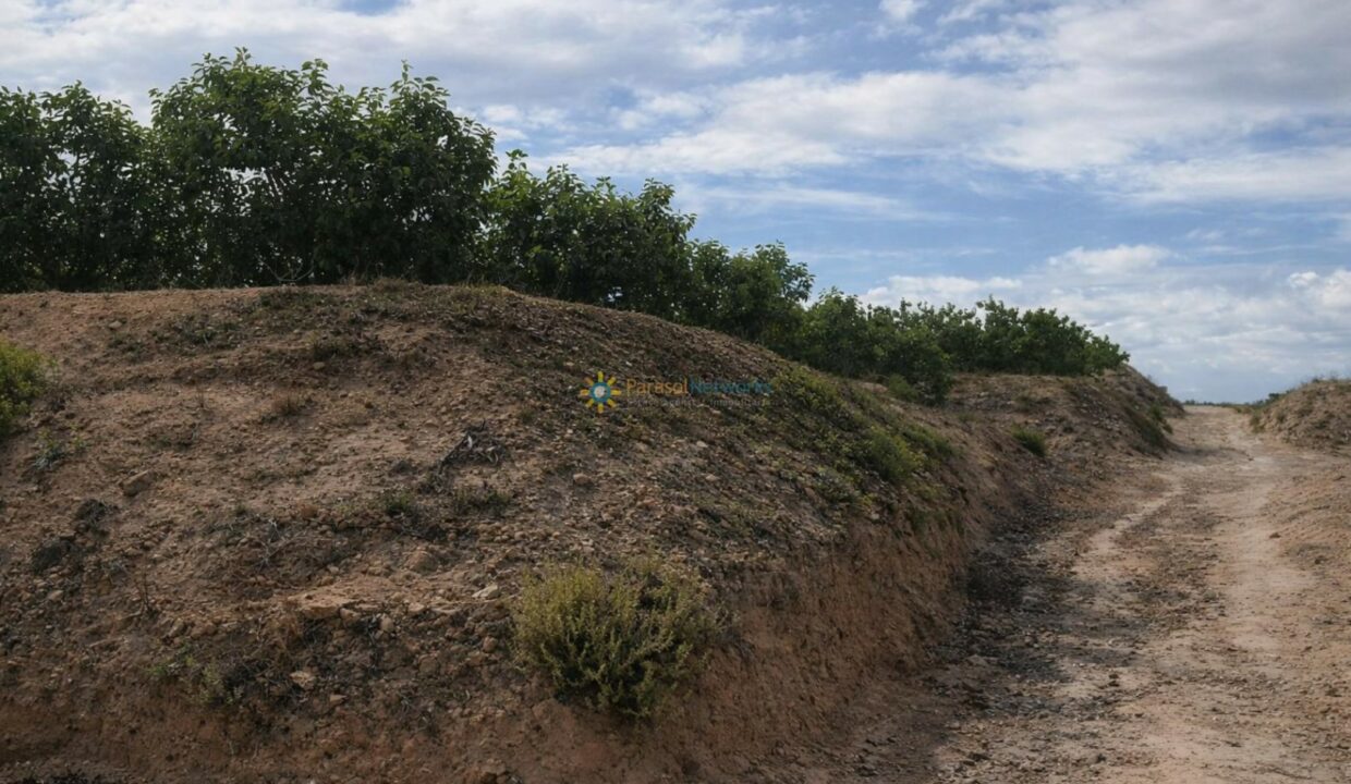 Paisaje árido y sendero serpenteante