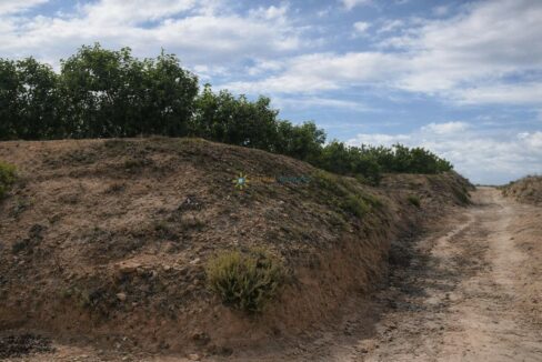 Paisaje árido y sendero serpenteante