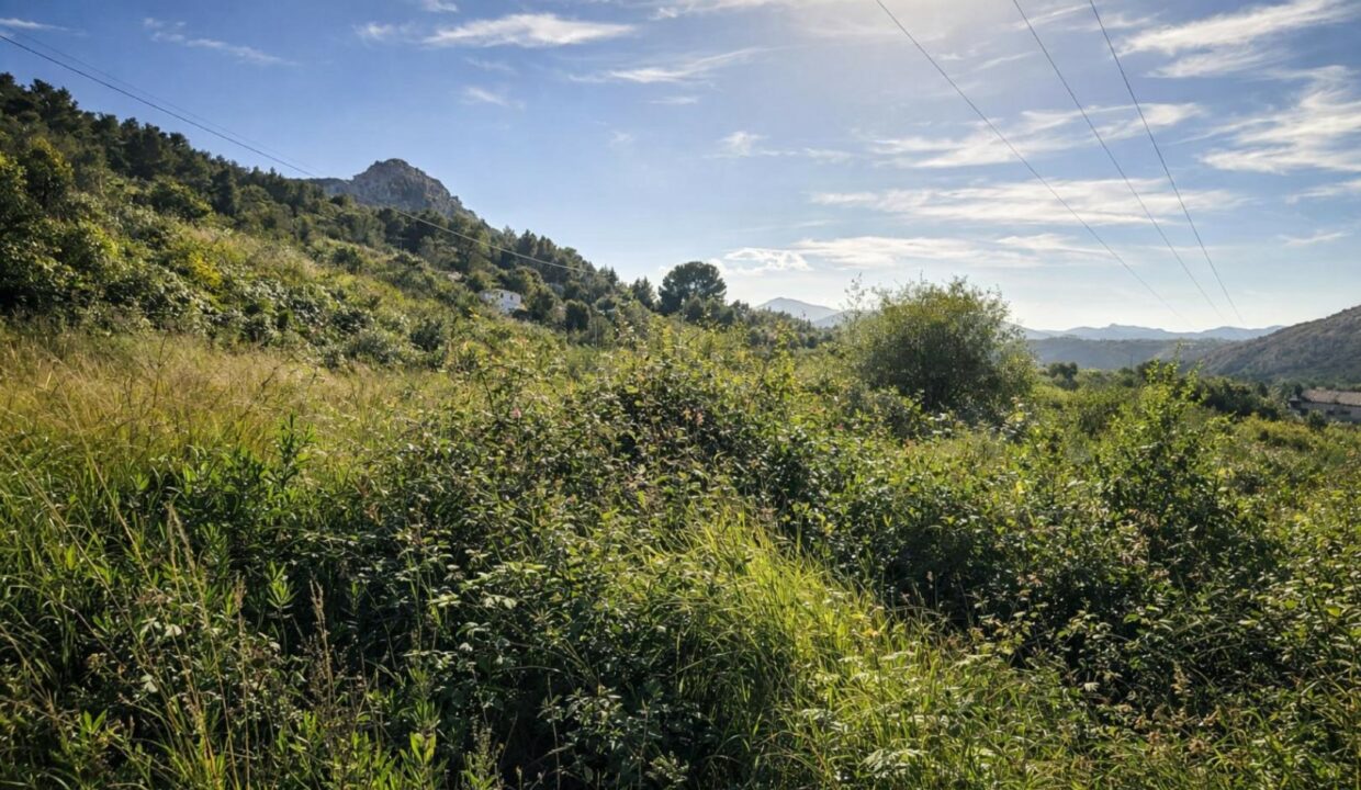 Paisaje campestre iluminado por el sol