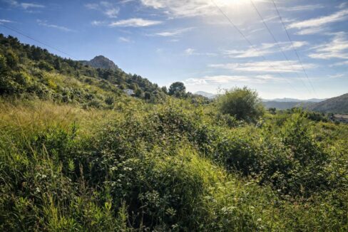 Paisaje campestre iluminado por el sol