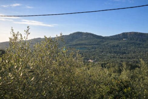 Paisaje mediterráneo al atardecer