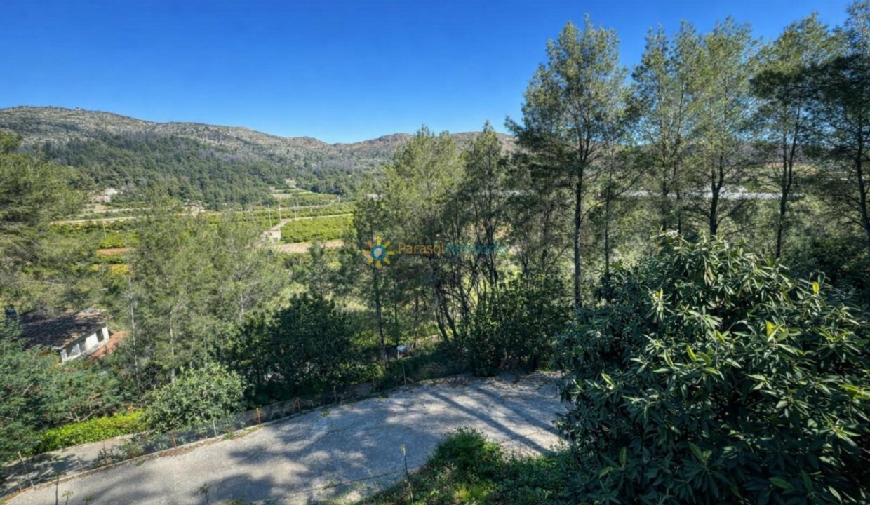 Paisaje mediterráneo con caminos y naranjos (1)