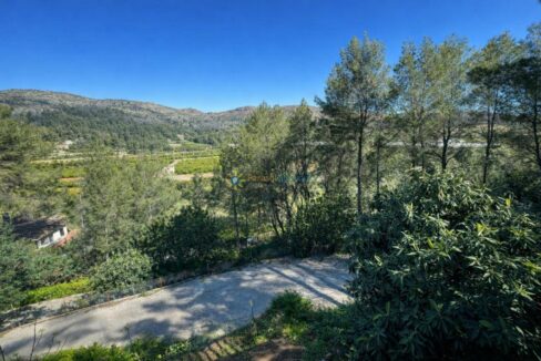 Paisaje mediterráneo con caminos y naranjos (1)