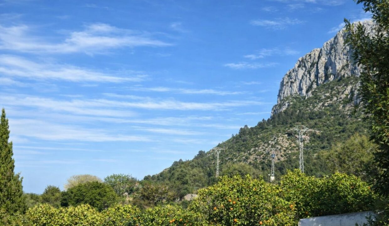 Paisaje mediterráneo con huerto de naranjos