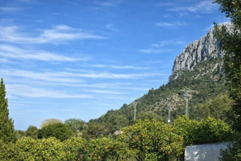 Paisaje mediterráneo con huerto de naranjos