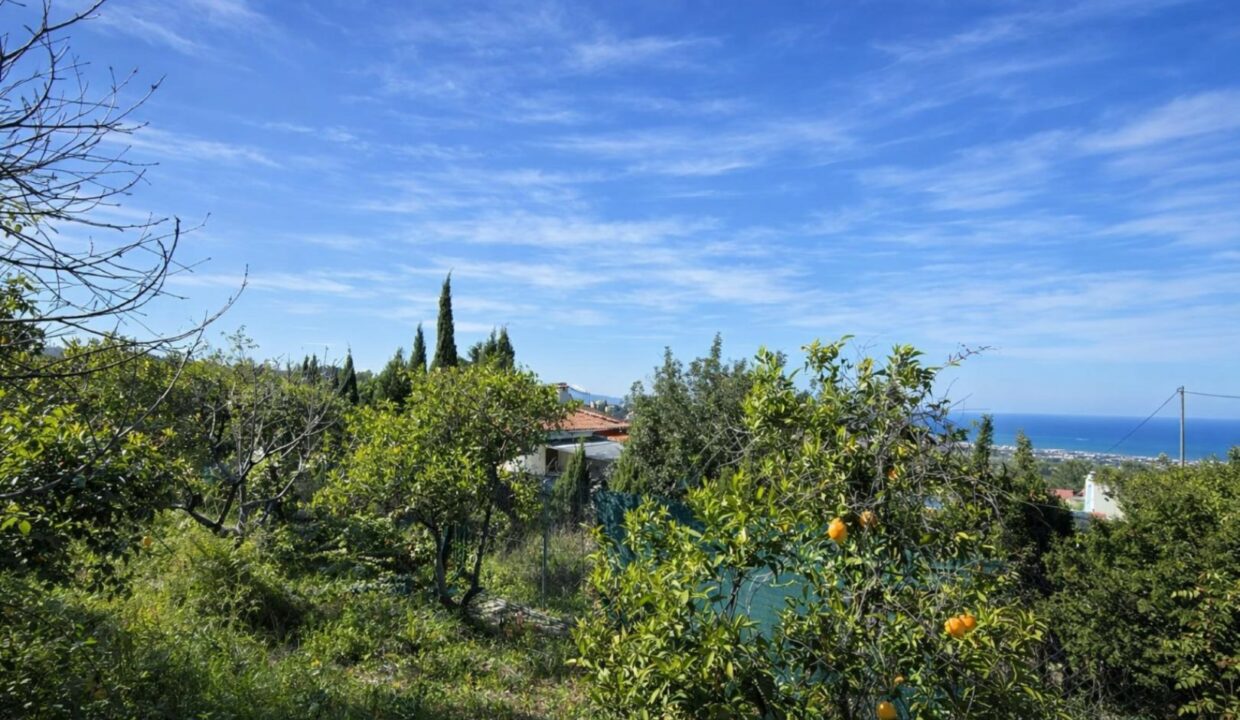 Paisaje mediterráneo con huerto y mar
