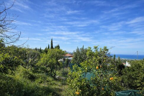 Paisaje mediterráneo con huerto y mar